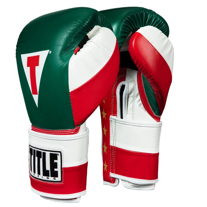 Imagen de catálogo: Guantes de box Title Pride México